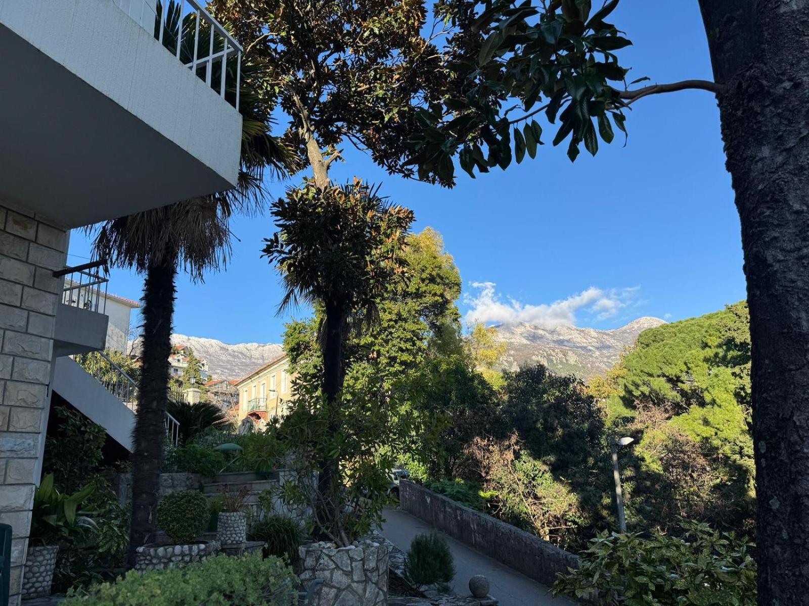 Studio Apartment Palma Χέρτσεγκ Νόβι Εξωτερικό φωτογραφία