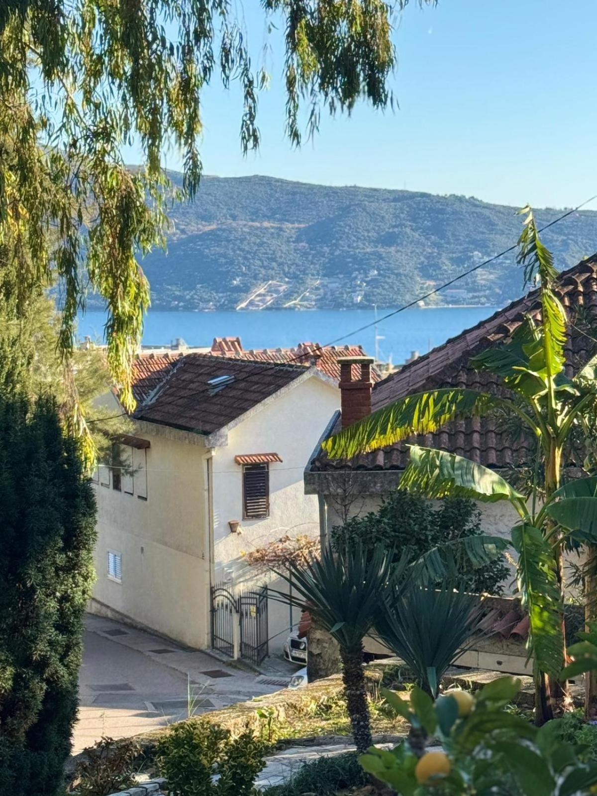 Studio Apartment Palma Χέρτσεγκ Νόβι Εξωτερικό φωτογραφία