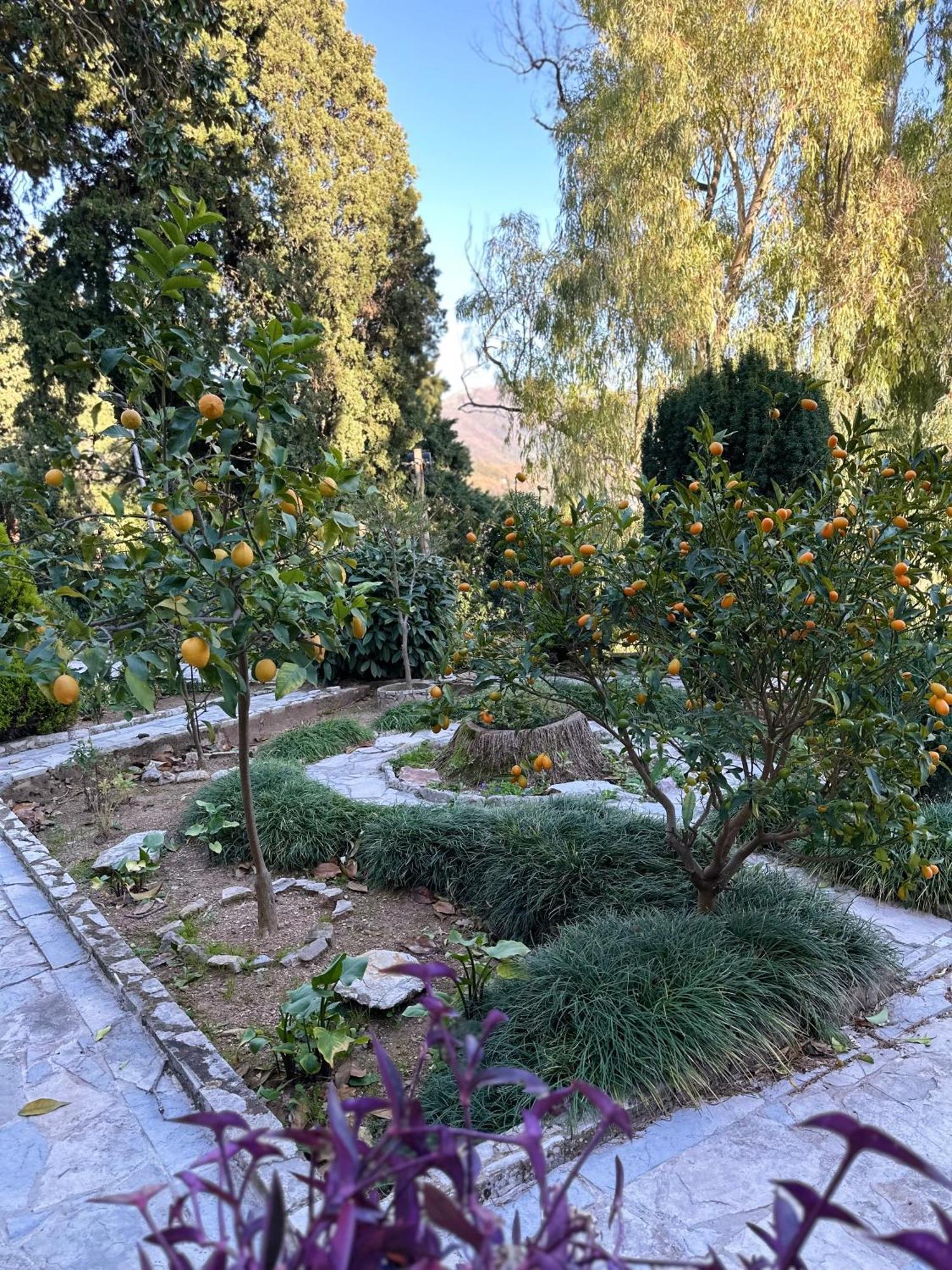Studio Apartment Palma Χέρτσεγκ Νόβι Εξωτερικό φωτογραφία